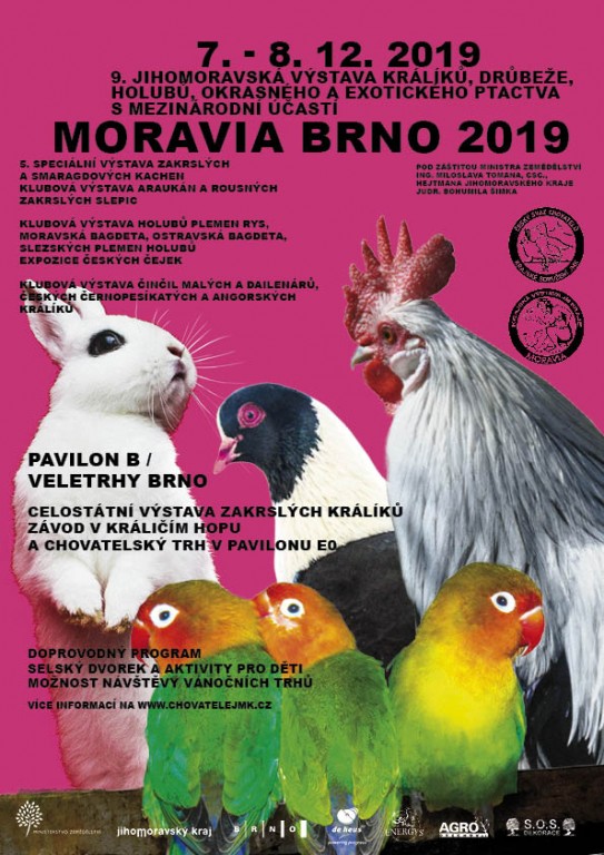 MORAVIA BRNO 2019